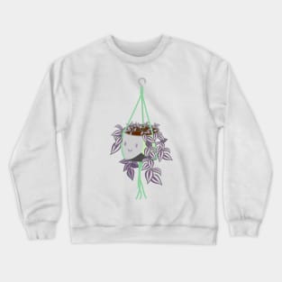 tradscantia plant in aromantic pride pot Crewneck Sweatshirt